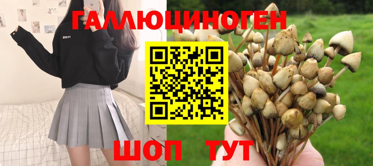 Псилоцибиновые грибы Magic Shrooms  Вход с VPN  Губкинский  Галлюциногенные грибы Magic Shrooms 