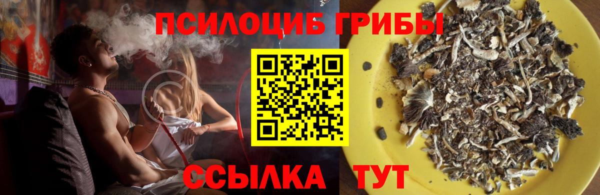 Псилоцибиновые грибы Magic Shrooms Губкинский