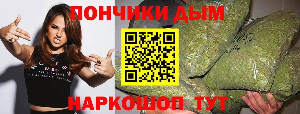 Шишки марихуана гибрид Губкинский